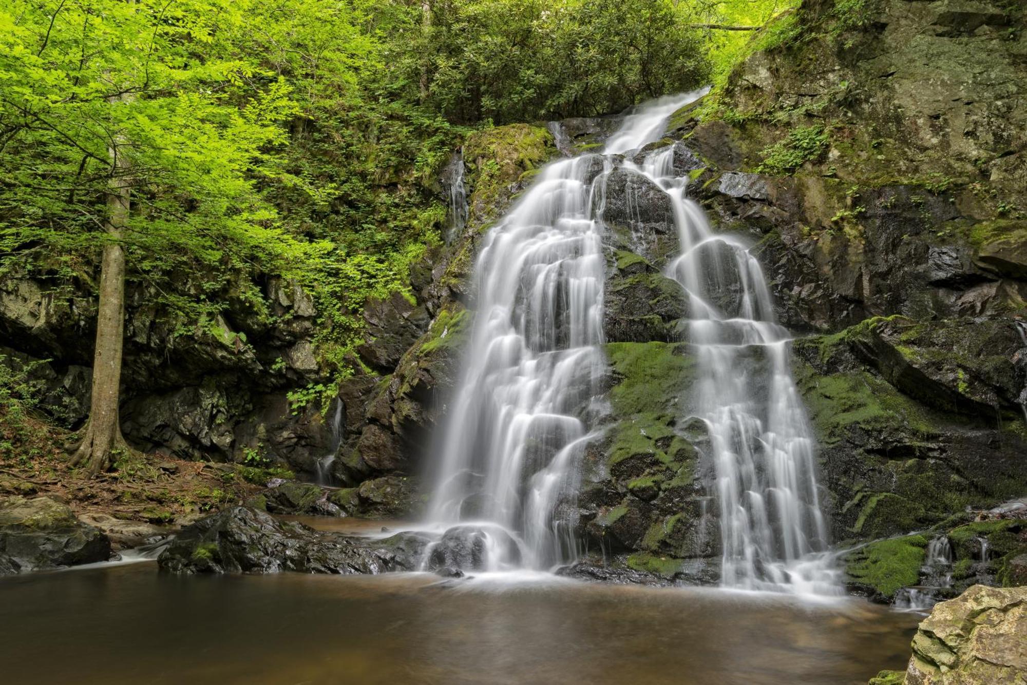 Maple Trails, Wifi, 1089 Free Tickets Each Paid Day, Dollywood And More Gatlinburg Exterior foto